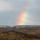 AZ Rainbow